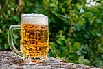 Glass Mug With Beer Standing On The Big Stone Stock Photo