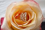 Golden Ring With Diamonds And Yellow Rose Stock Photo