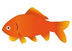 Goldfish Stock Photo