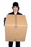 Good Looking Woman Holding Up A Cardboard Box Stock Photo