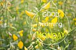 Good Mornign Monday Quote Design Poster Stock Photo