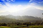 Good Nature At Rice Field And Mountain Stock Photo