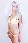 Gorgeous Blonde Lingerie Angel Stock Photo