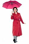 Gorgeous Lady With Umbrella Walking Towards You Stock Photo