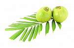 Green Coconuts And Leaf On White Background Stock Photo