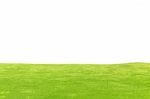 Green Field On White Background Stock Photo