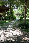 Green Garden Pathway In Summer Stock Photo