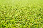 Green Grass Background With Sun Beam. Bright Natural Bokeh. Selected Focus. Abstract Nature Background Stock Photo