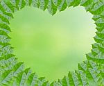 Green Heart Framing Stock Photo