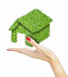 Green House In Hand Stock Photo