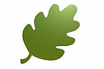 Green  Leaf Logo Stock Photo