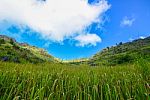 Green Meadows On Mountain In Chiang Mai Stock Photo