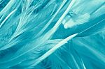 Green Turquoise Vintage Color Trends Chicken Feather Texture Background Stock Photo