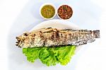 Grilled Salted Catfish Stock Photo