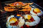  Grilled Seafood Stock Photo