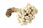 Group Of Dry Garlic With Pole Focus At Head On White Background Stock Photo