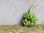 Group Of Fresh Green Banana Stock Photo