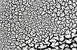 Grunge Black And White Distress Dirt Cracked Scratch Texture Stock Photo