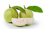 Guava  On White Background Stock Photo