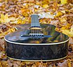 Guitar Laying Between Leafs Stock Photo