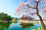 Gyeongbokgung Palace With Cherry Blossom In Spring,korea Stock Photo