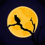 Halloween Graphic Resource Stock Photo