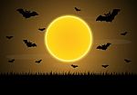 Halloween Moon Bat  Stock Photo