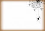 Halloween Spider Hanging Web Background Stock Photo