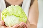 Hand Holding Fresh Cabbage Stock Photo