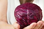 Hand Holding Red Cabbage Stock Photo