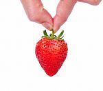 Hand Holding Red Strawberry Isolated On White Stock Photo