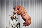 Hand In Jail Stock Photo