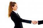 Hand Shaking Business People Stock Photo