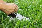 Hands Lacing With In The Sneaker Stock Photo