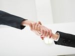 Handshaking business people Stock Photo