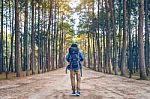 Hiking Man With Backpack Walking In Forest Stock Photo