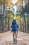 Hiking Man With Backpack Walking In Forest Stock Photo