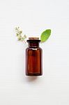 Holy Basil Essential Oil In A Glass Bottle With Fresh Holy Basil Stock Photo