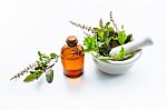 Holy Basil Essential Oil In A Glass Bottle With Fresh Holy Basil Stock Photo