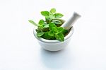 Holy Basil Essential Oil In A Glass Bottle With Fresh Holy Basil Stock Photo