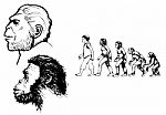 Human Evolution Stock Photo