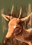 Illustration Digital Painting Animal Deer Stock Photo