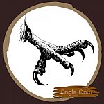 Illustration Of Eagle Claw, Hawk Bird Stock Photo