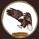 Illustration Of Eagle, Hawk Bird Stock Photo