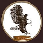 Illustration Of Eagle, Hawk Bird Stock Photo