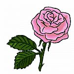 Illustration Of Rose Hand Drawn Style - Illustration Stock Photo