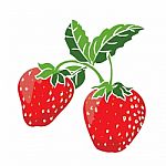 Illustration Strawberry  -  Illustration Stock Photo