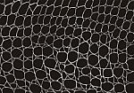 Image Of Black Crocodile Skin Texture Stock Photo