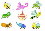 Insects Stock Photo