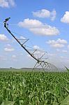 Irrigation System For Agriculture Stock Photo